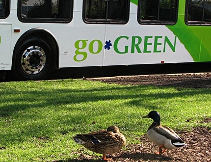 Go green word painted on the bus