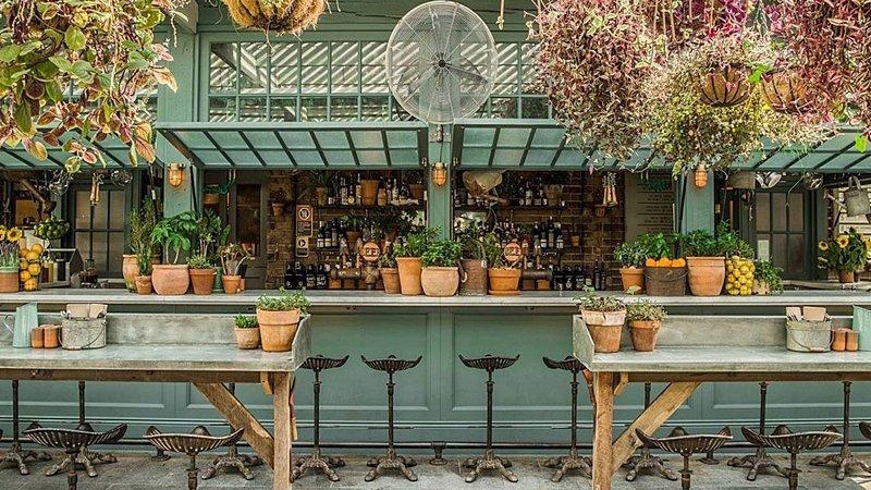 unique garden themed bar