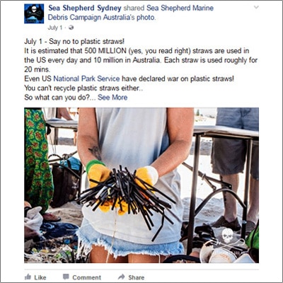 Sea Shepherd Sydney help the environment Facebook post